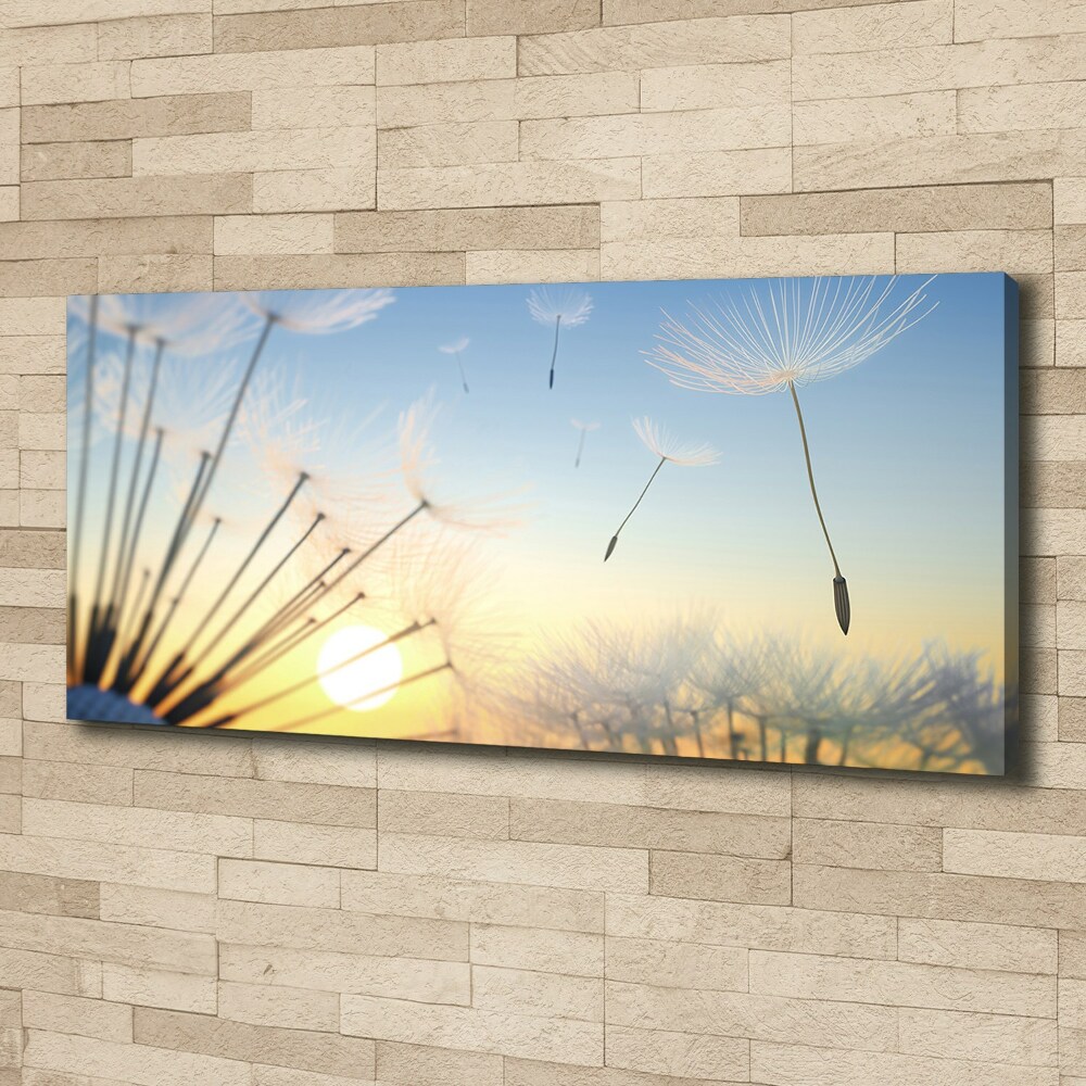 Canvas wall art Dandelion seeds