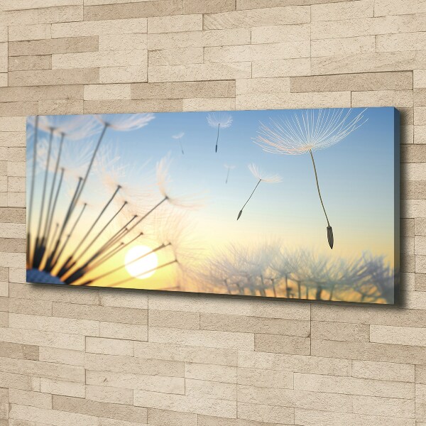 Canvas wall art Dandelion seeds