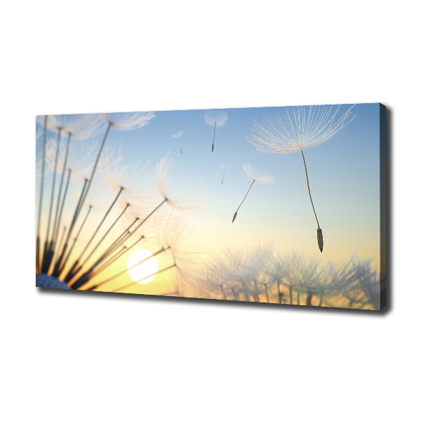 Canvas wall art Dandelion seeds