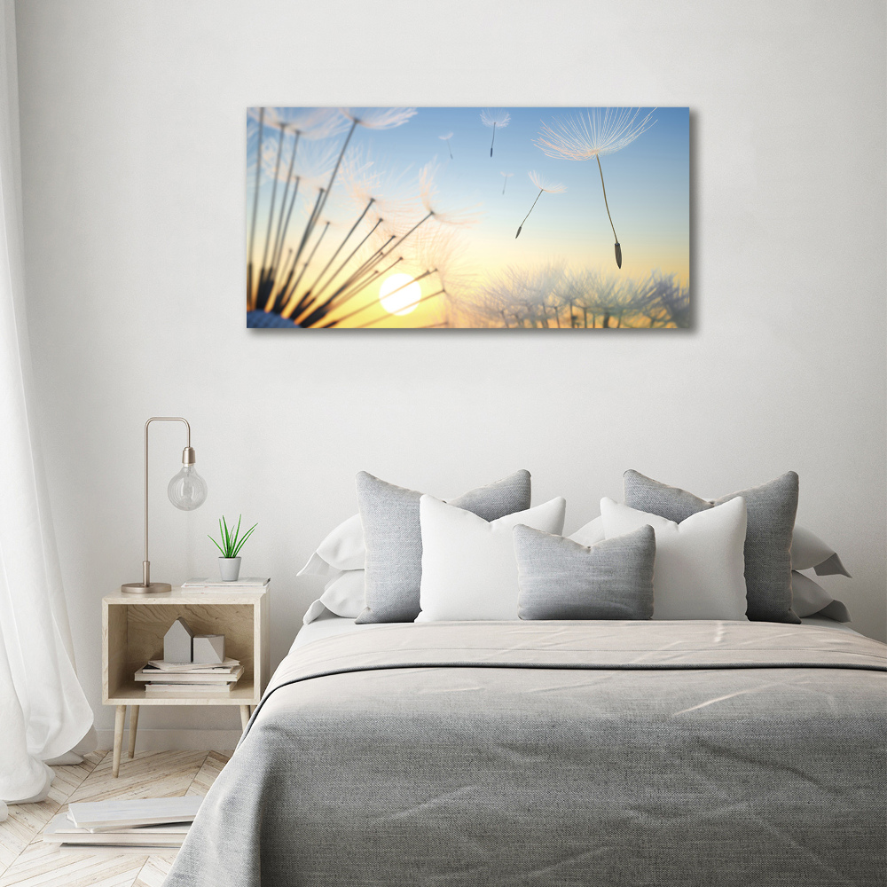 Canvas wall art Dandelion seeds