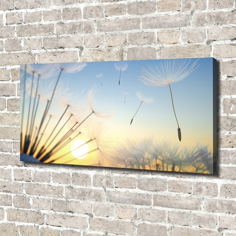 Canvas wall art Dandelion seeds