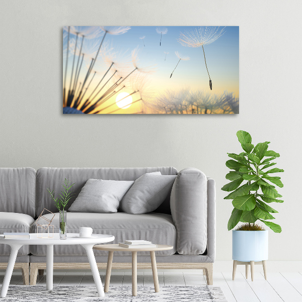 Canvas wall art Dandelion seeds