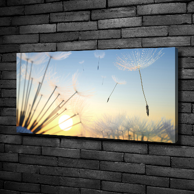 Canvas wall art Dandelion seeds