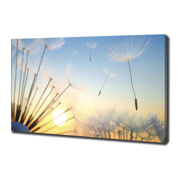 Canvas wall art Dandelion seeds