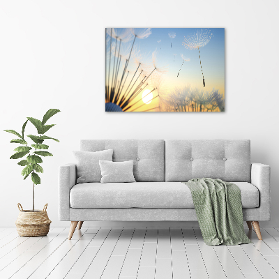 Canvas wall art Dandelion seeds