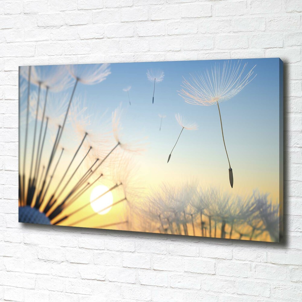 Canvas wall art Dandelion seeds