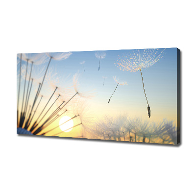 Canvas wall art Dandelion seeds