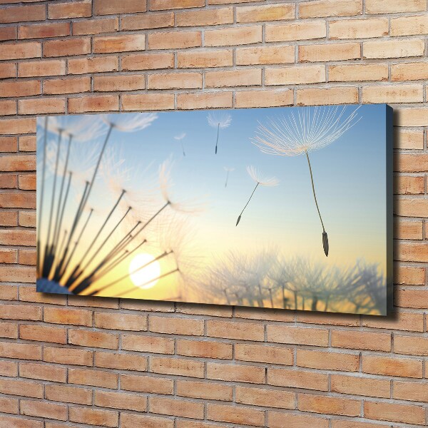 Canvas wall art Dandelion seeds