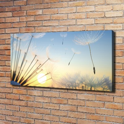 Canvas wall art Dandelion seeds