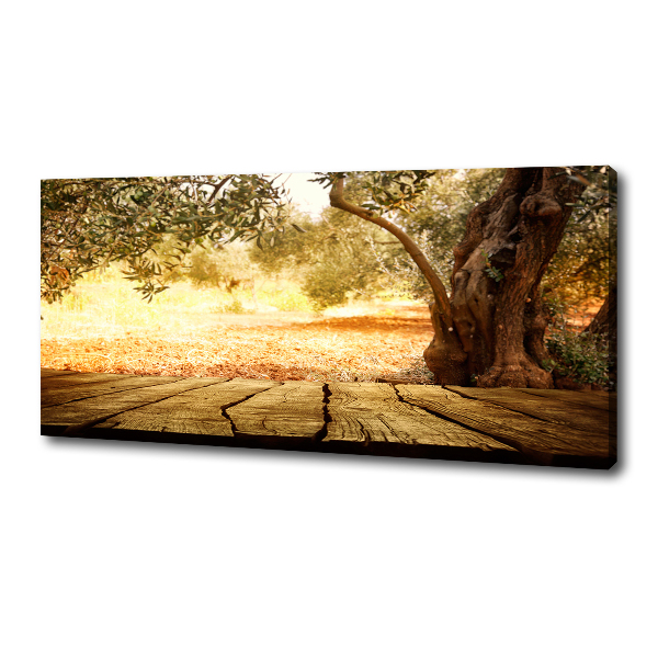 Canvas wall art Olive tree