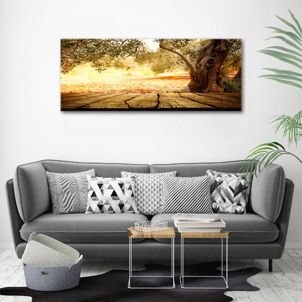 Canvas wall art Olive tree