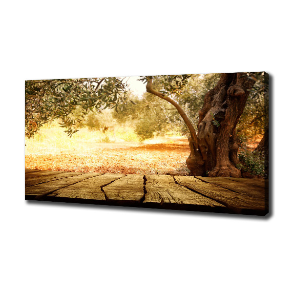 Canvas wall art Olive tree