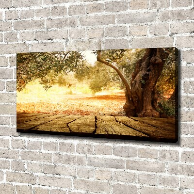 Canvas wall art Olive tree