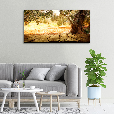 Canvas wall art Olive tree