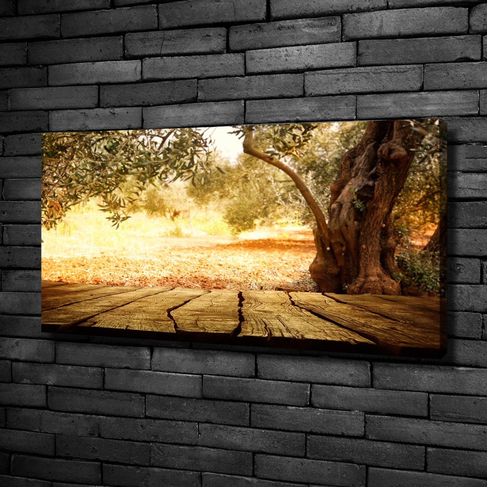 Canvas wall art Olive tree