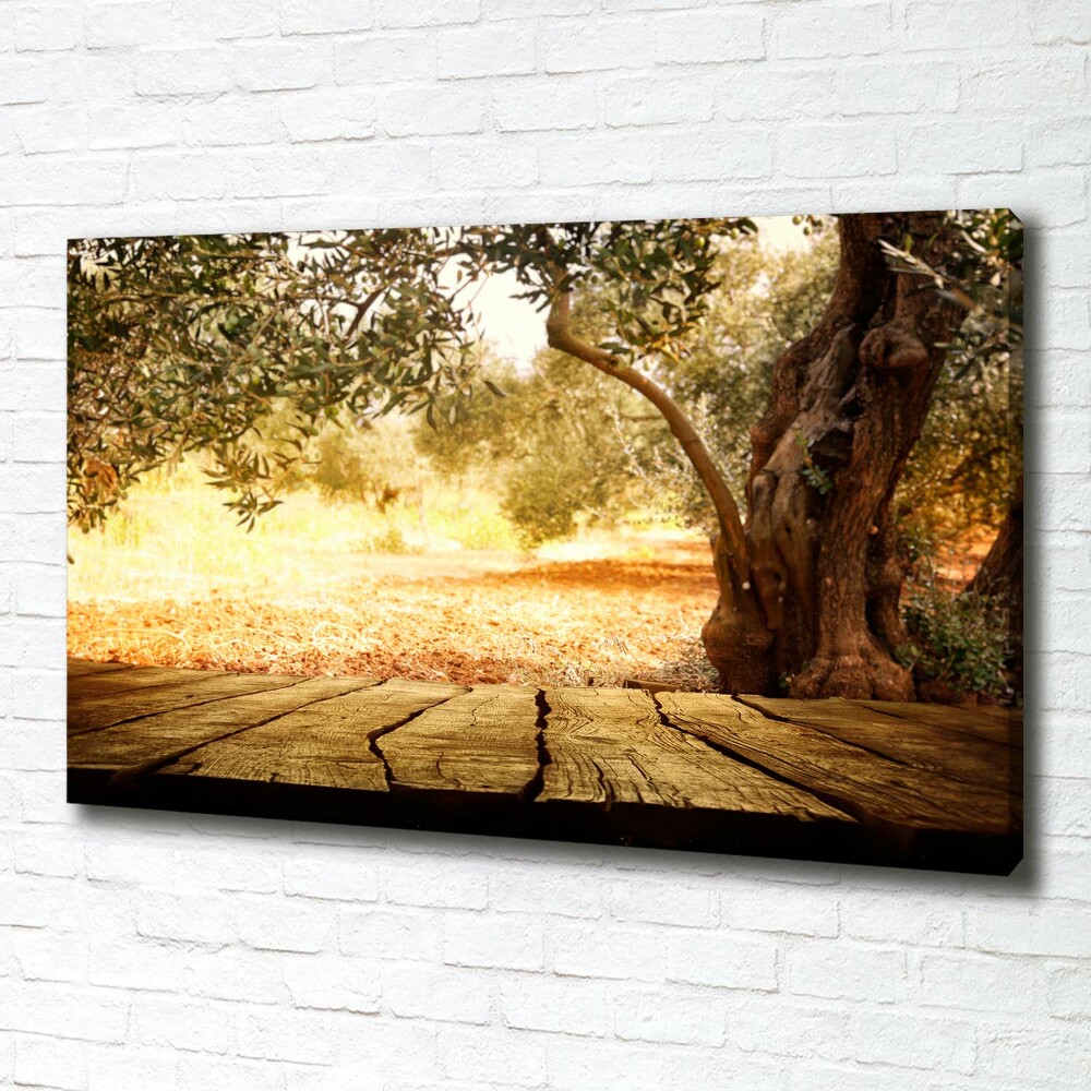 Canvas wall art Olive tree