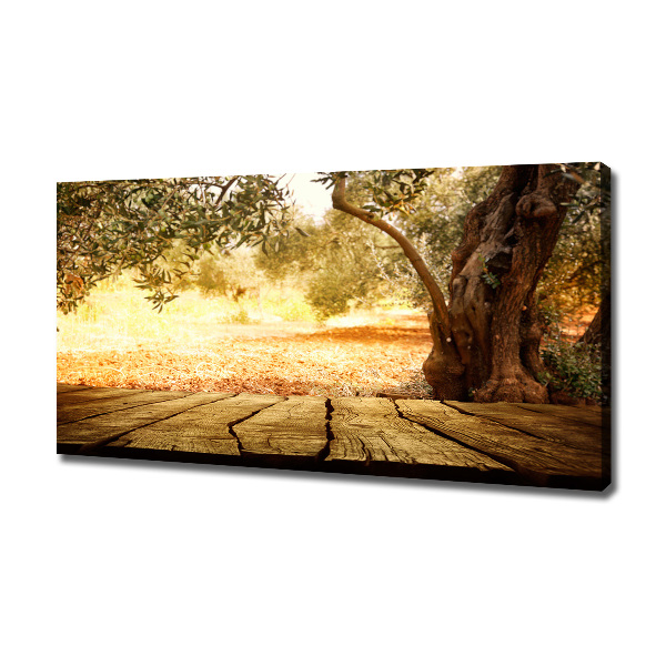 Canvas wall art Olive tree