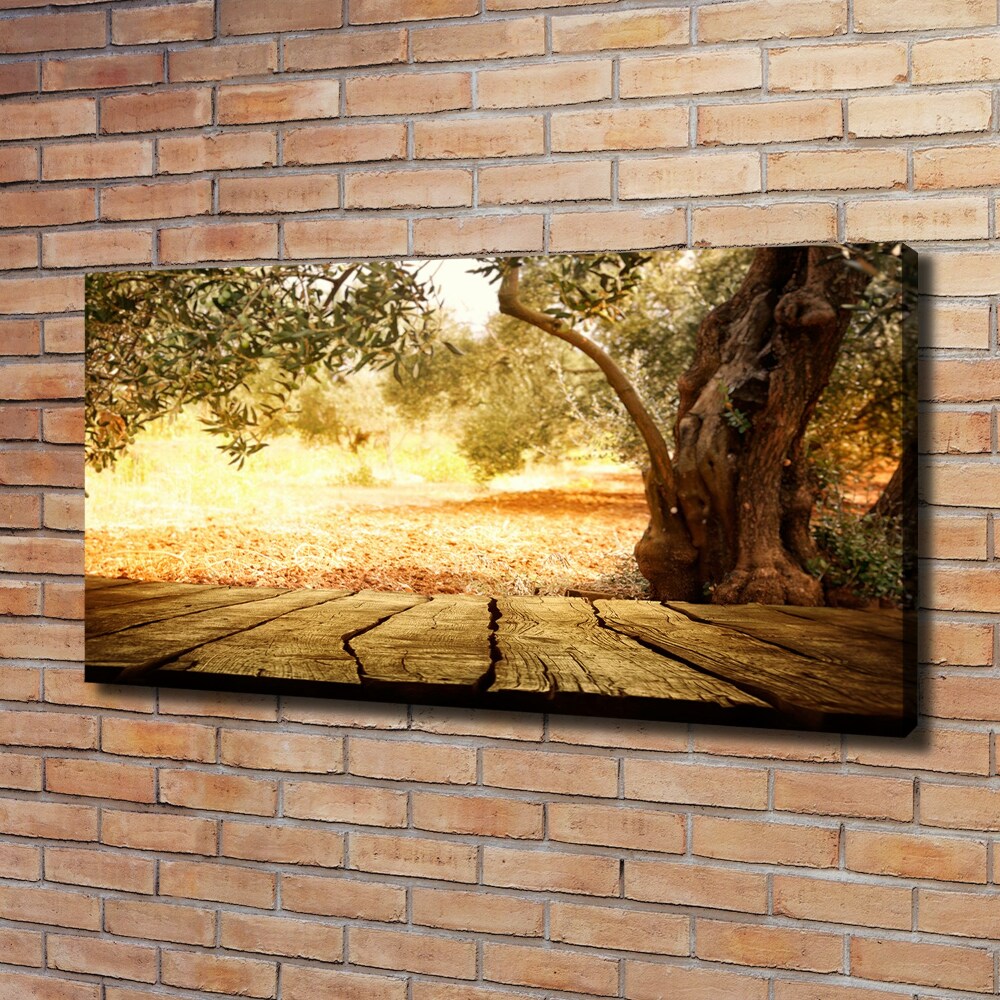 Canvas wall art Olive tree