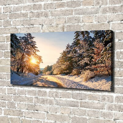 Canvas wall art Road in the forest in winter