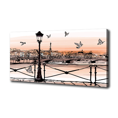 Canvas wall art Twilight in Paris