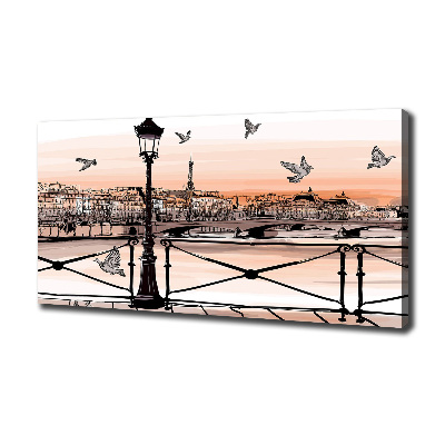 Canvas wall art Twilight in Paris