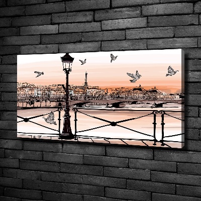 Canvas wall art Twilight in Paris