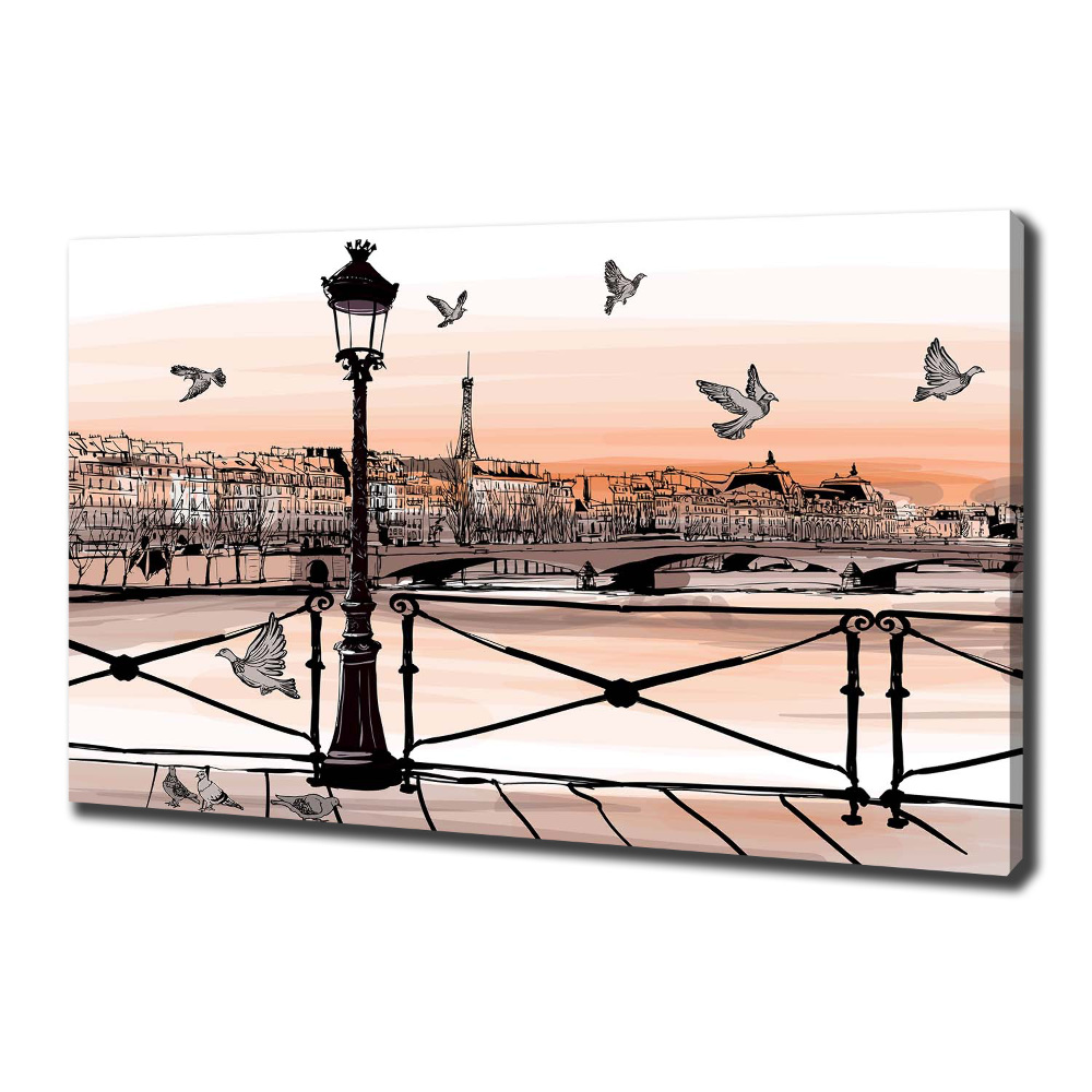 Canvas wall art Twilight in Paris