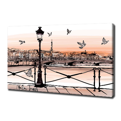 Canvas wall art Twilight in Paris