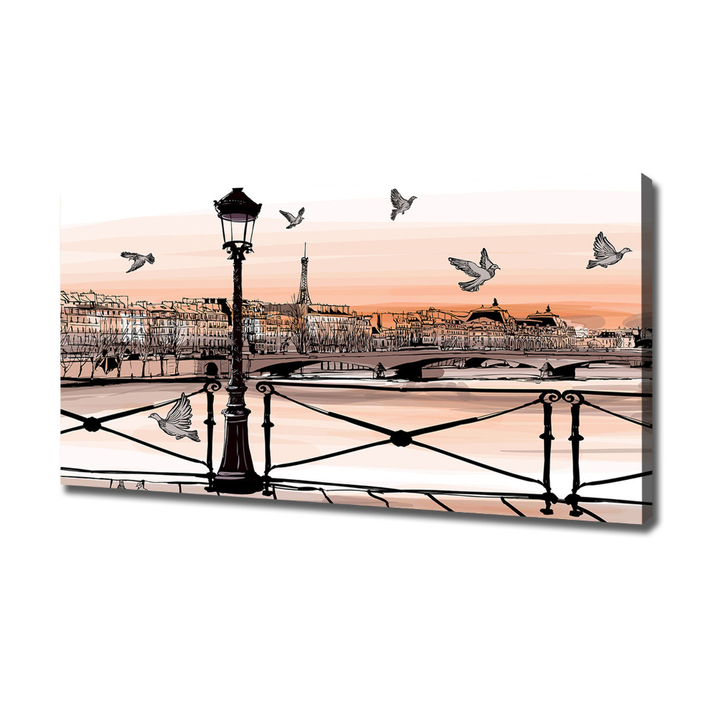 Canvas wall art Twilight in Paris