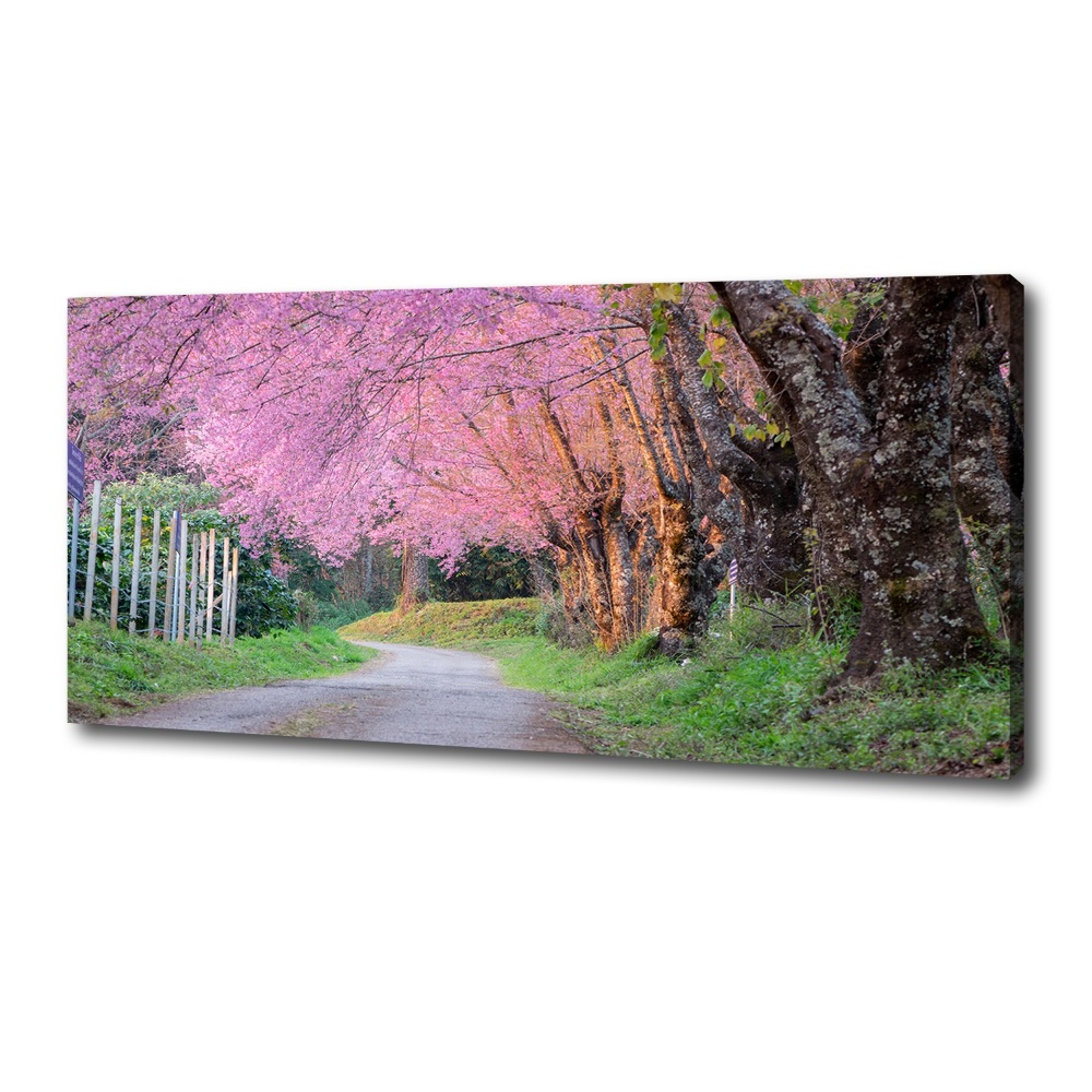 Canvas wall art Cherry blossoms