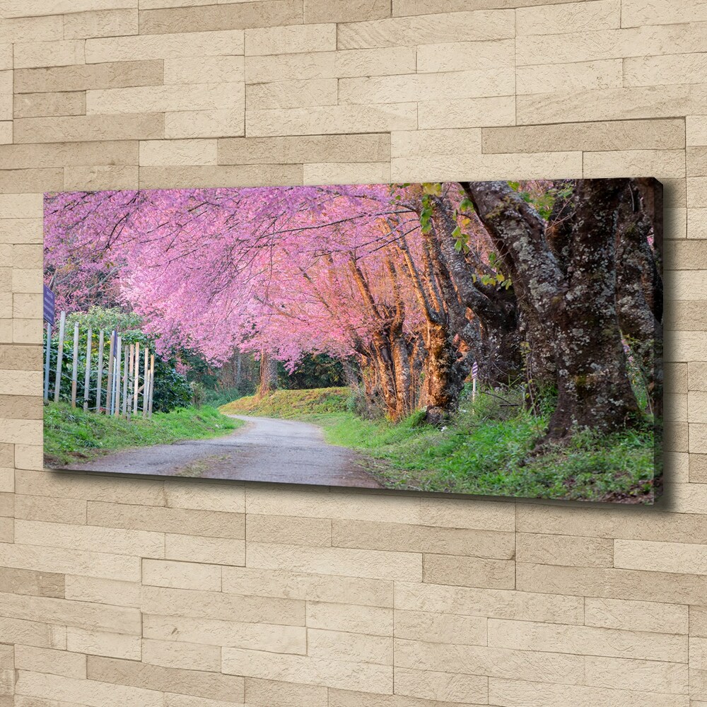 Canvas wall art Cherry blossoms