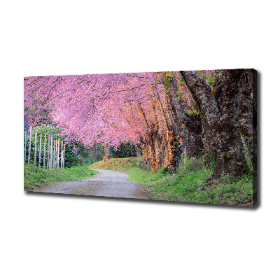 Canvas wall art Cherry blossoms