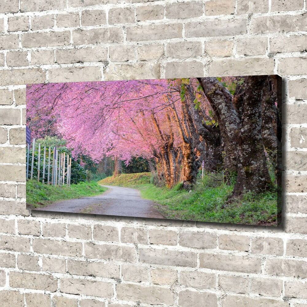 Canvas wall art Cherry blossoms