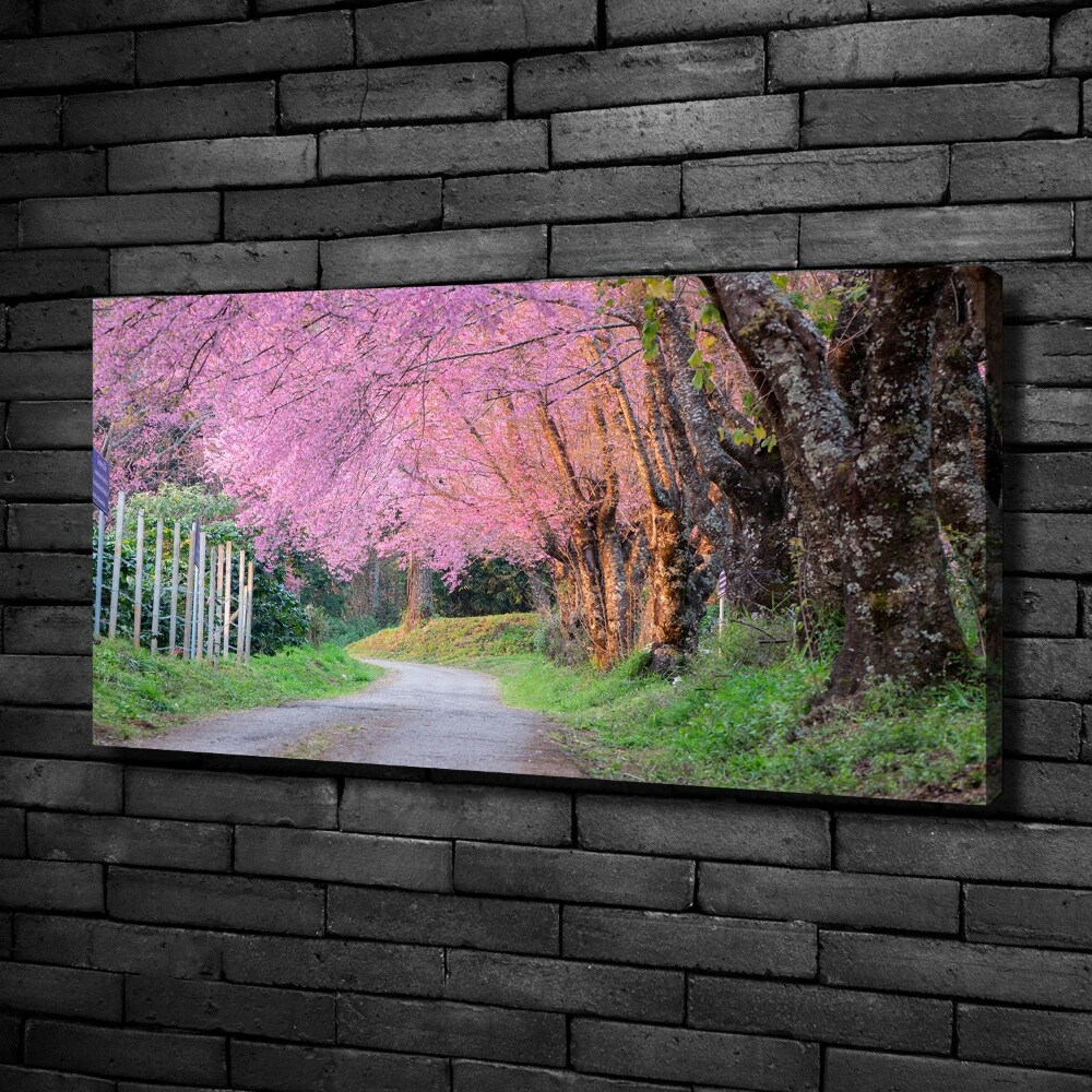 Canvas wall art Cherry blossoms