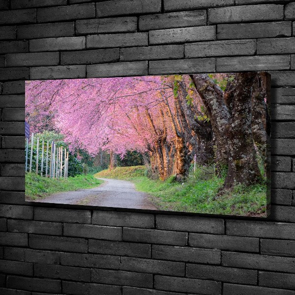 Canvas wall art Cherry blossoms