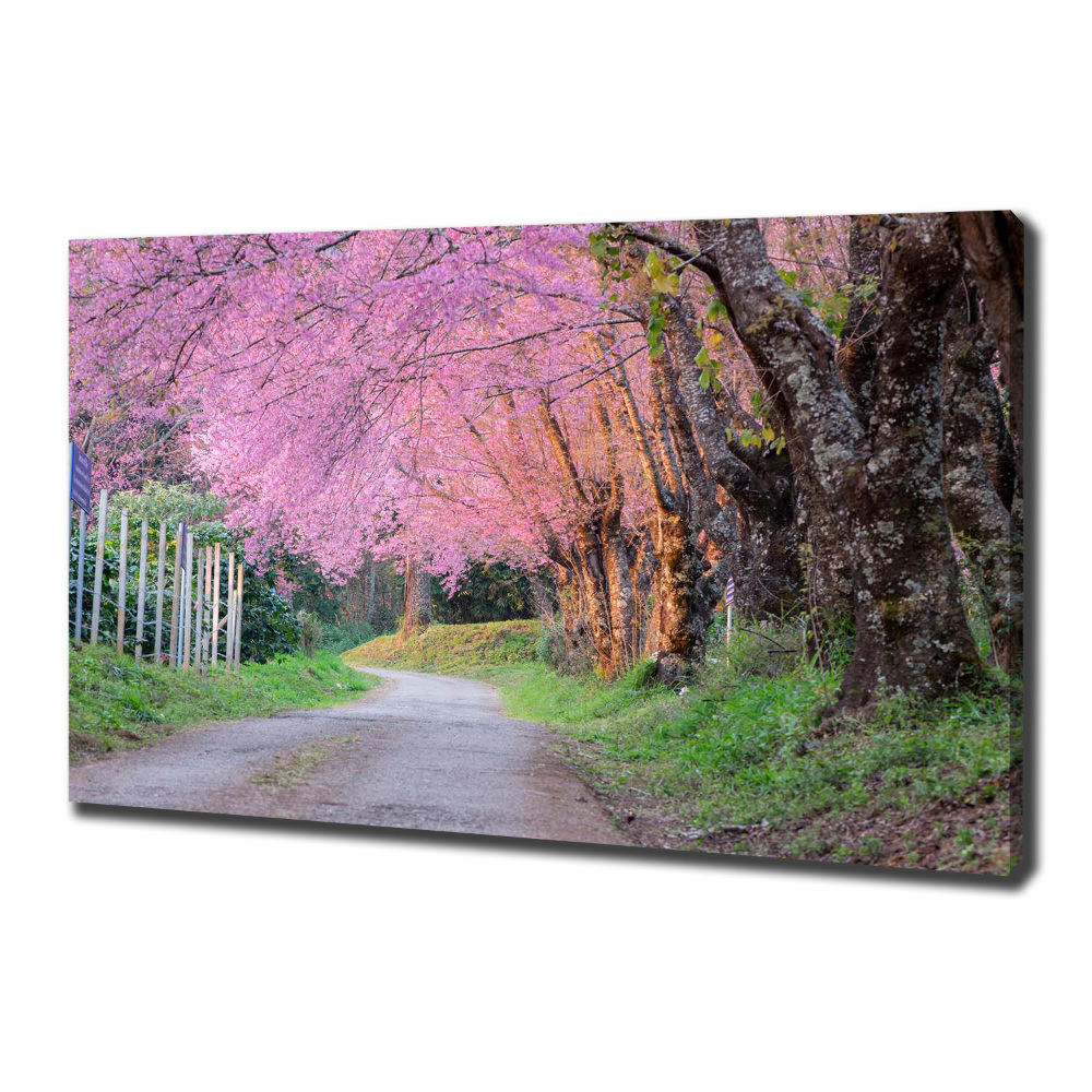 Canvas wall art Cherry blossoms