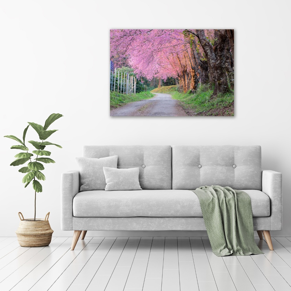 Canvas wall art Cherry blossoms