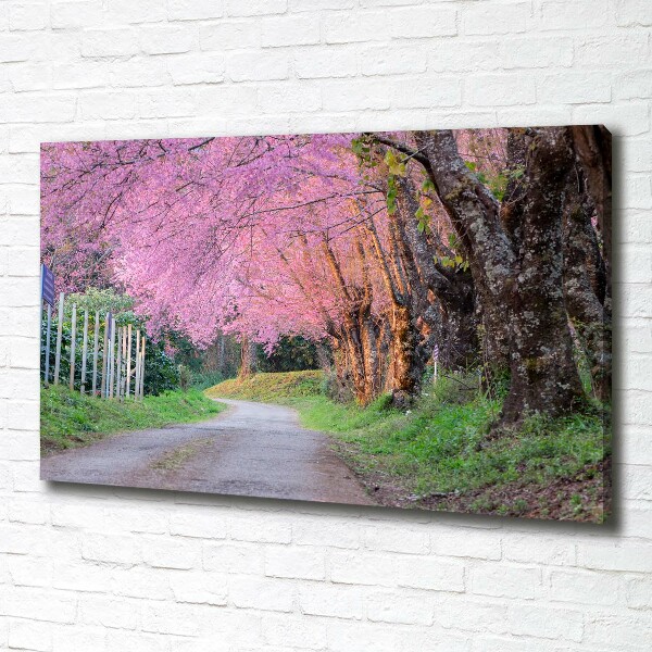 Canvas wall art Cherry blossoms