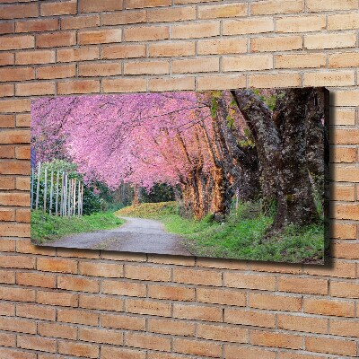 Canvas wall art Cherry blossoms