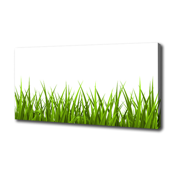 Canvas wall art Grass