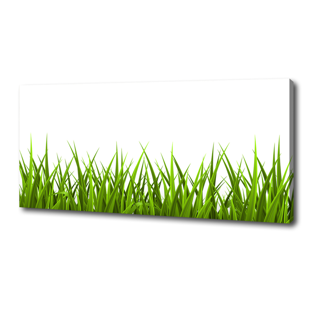 Canvas wall art Grass