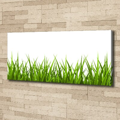 Canvas wall art Grass