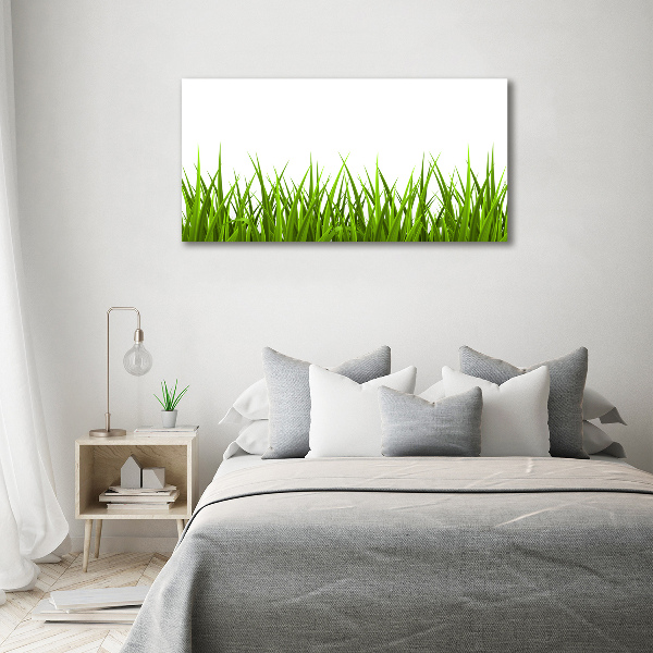 Canvas wall art Grass