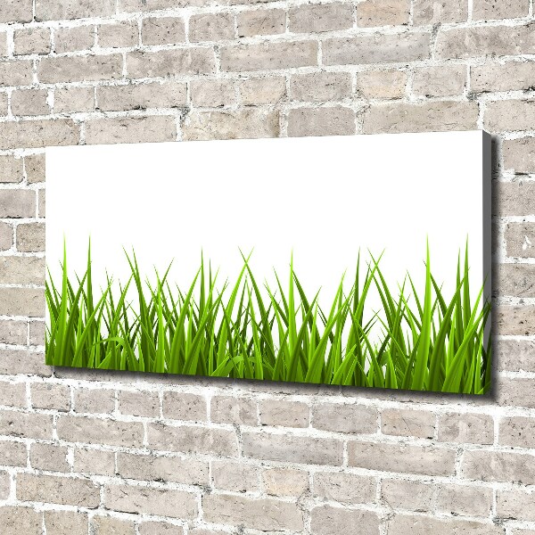 Canvas wall art Grass