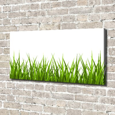 Canvas wall art Grass