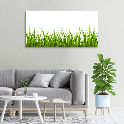 Canvas wall art Grass