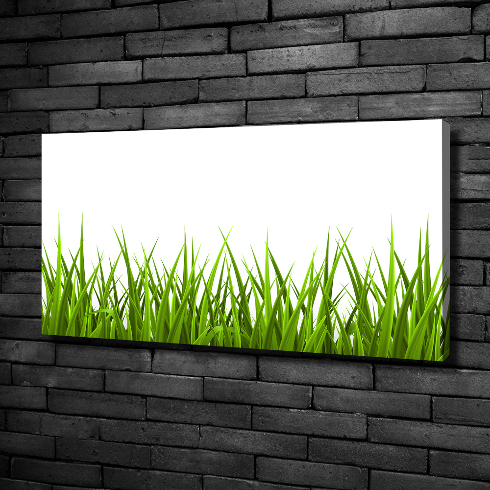 Canvas wall art Grass