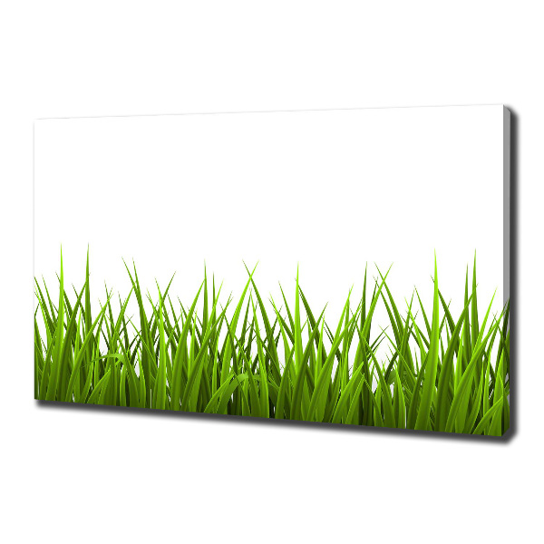 Canvas wall art Grass