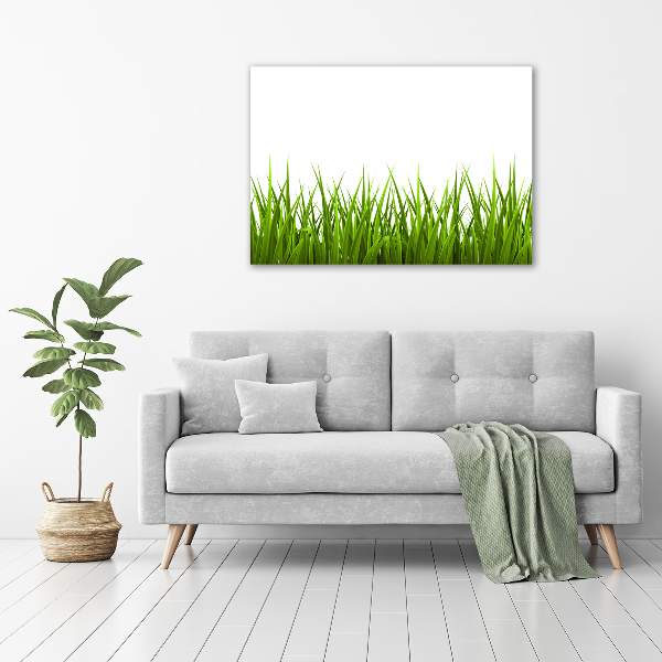 Canvas wall art Grass