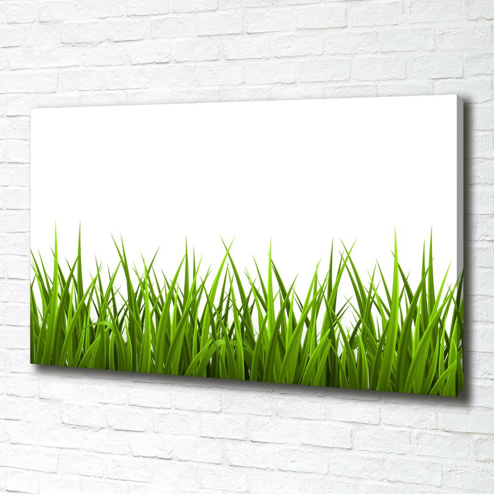 Canvas wall art Grass